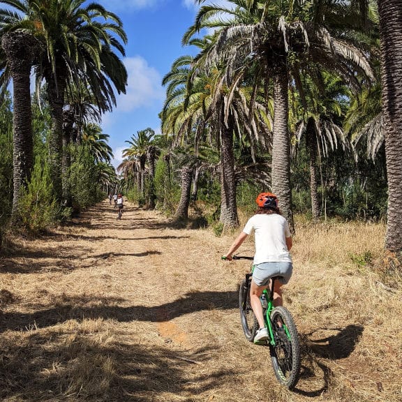 Cliff Top Ride - mountain biking - #1