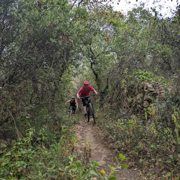 Lizandro Trails - mountain biking - #1