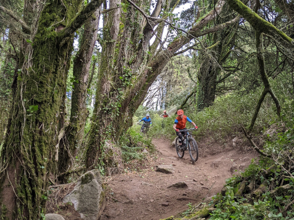 Sintra Mountain Biking